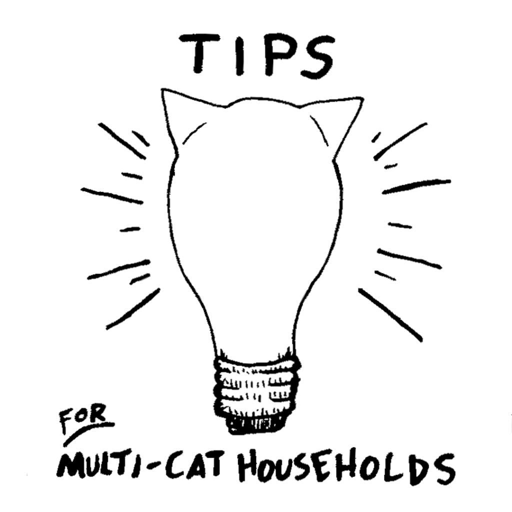Tips for Multi-Cat Households